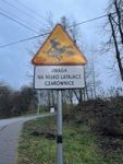 Zdjęcie: 28