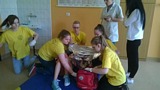 Zdjęcie: 14