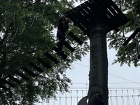 Zdjęcie: 36