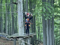 Zdjęcie: 38