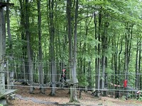 Zdjęcie: 40