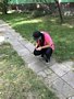 Zdjęcie: 34