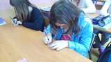 Zdjęcie: 53