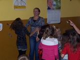 Zdjęcie: 6