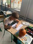 Zdjęcie: 11