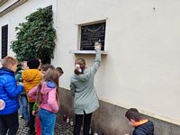 Zdjęcie: 15