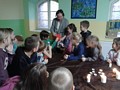 Zdjęcie: 7