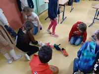 Zdjęcie: 46