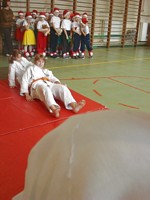 Zdjęcie: 12