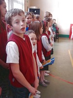 Zdjęcie: 16