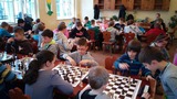 Zdjęcie: 7