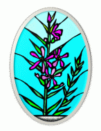 Powikszenie