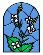 Powikszenie