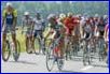 Peleton na trasie
