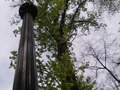 Zdjęcie: 102