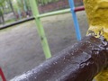Zdjęcie: 104