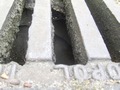 Zdjęcie: 109