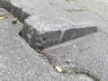 Zdjęcie: 110