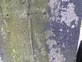Zdjęcie: 17