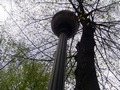 Zdjęcie: 62