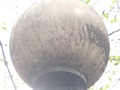 Zdjęcie: 82