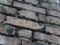Zdjęcie: 87