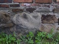 Zdjęcie: 88