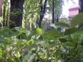 Zdjęcie: 15