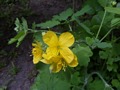 Zdjęcie: 19