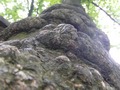 Zdjęcie: 65