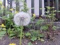 Zdjęcie: 84