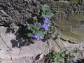 Zdjęcie: 16