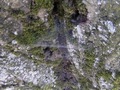 Zdjęcie: 16