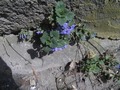 Zdjęcie: 24