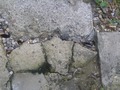 Zdjęcie: 19
