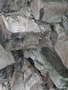 Zdjęcie: 46
