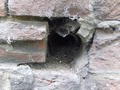 Zdjęcie: 54