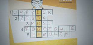 Zdjęcie: 4