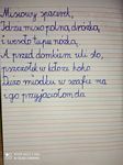 Zdjęcie: 14