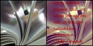 Zdjęcie: 17
