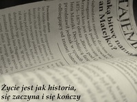 Zdjęcie: 46