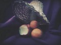 Zdjęcie: 28