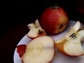 Zdjęcie: 45