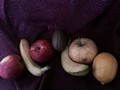 Zdjęcie: 48