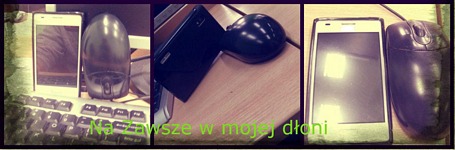 Zdjęcie: 11