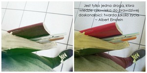 Zdjęcie: 89