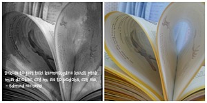 Zdjęcie: 91