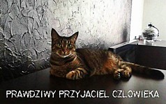 Grafika: 12a