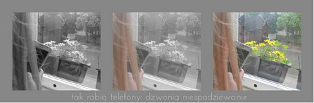 Zdjęcie: 10
