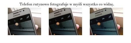 Zdjęcie: 12